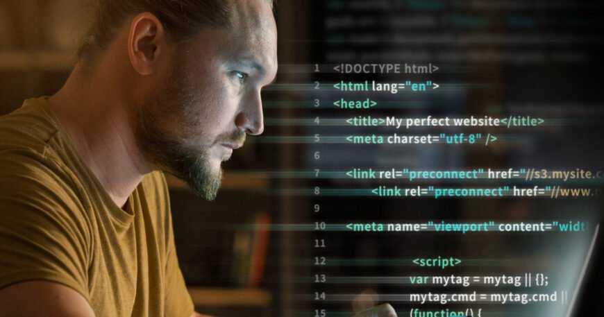shviora Infotech web development and coding services